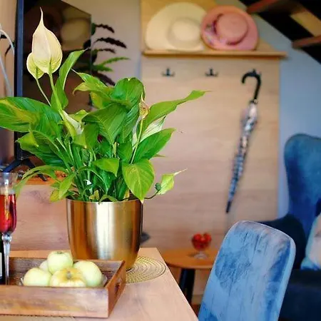 Spacious Homes With Terraces, 펜션 미엘렌코